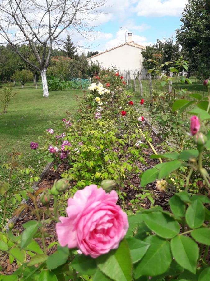 Logis De Lange Studio 2 P Saint-Hilaire-la-Palud Kültér fotó
