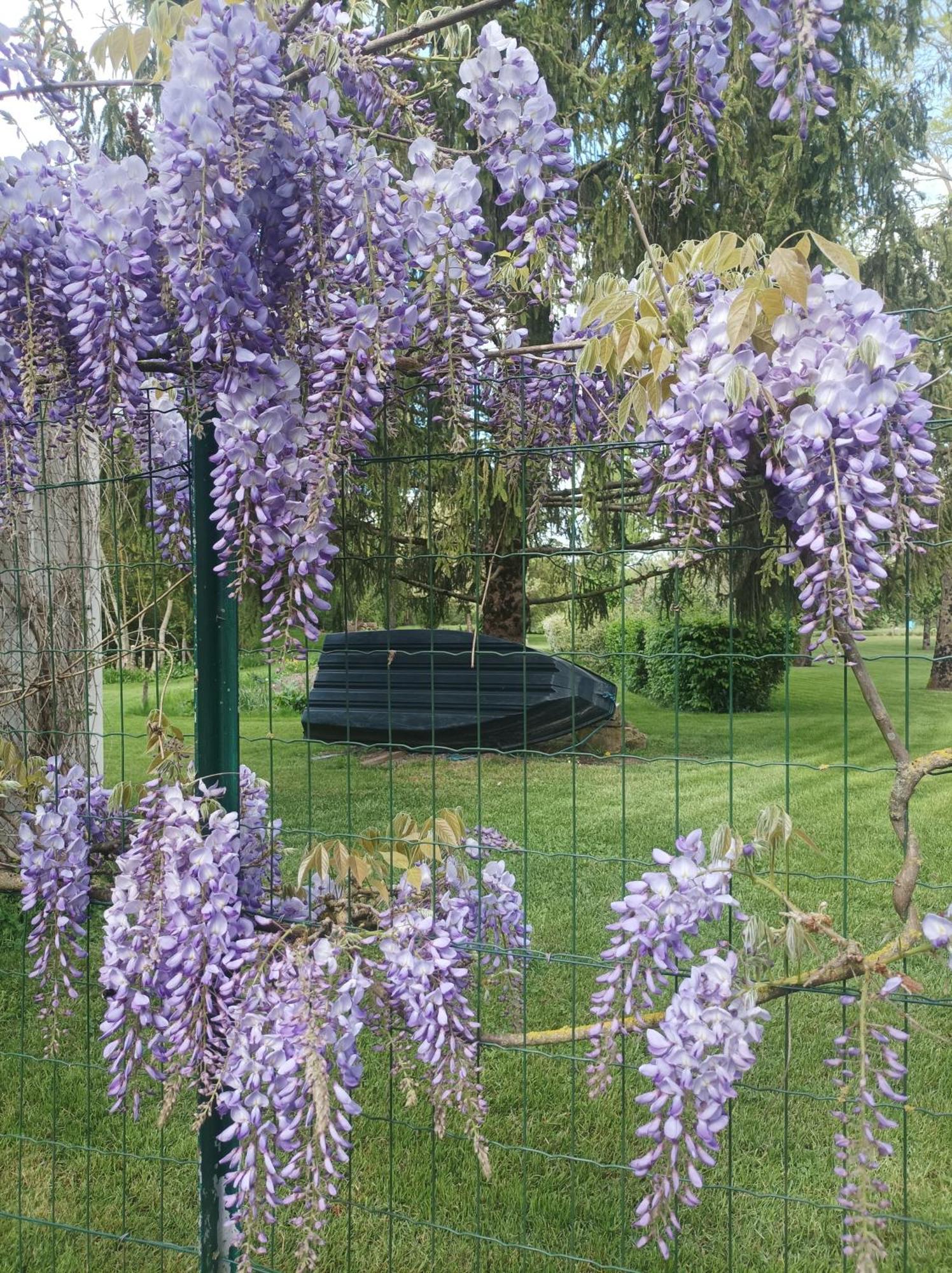 Logis De Lange Studio 2 P Saint-Hilaire-la-Palud Kültér fotó